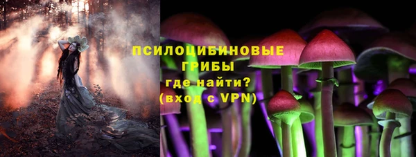 гидра Алзамай