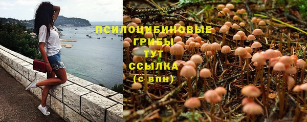 мефедрон Алексеевка