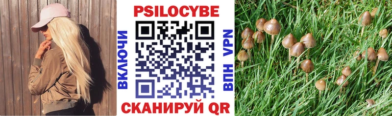 где купить наркоту  Урай  Псилоцибиновые грибы мухоморы 